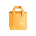 Bolsa Térmica 5 Litros Personalizada
